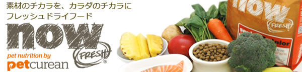 素材のチカラが生きているNOWfreshドッグフード