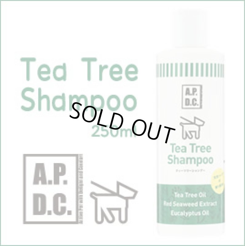 画像1: NEW☆天然植物の力で被毛・皮膚をやさしく健康に若々しく保ちます【NEW!Ａ.Ｐ.Ｄ.Ｃティートリーシャンプー】２５０ｍｌ (1)