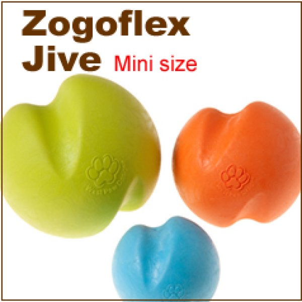 画像1: 走ってくわえて飛び跳ねて！アクティブオモチャ【Zogoflex Jive】Miniサイズ (1)