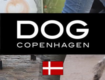 画像1: スマートで使いやすいリード【DOG COPENHAGEN】Urban Trail Leash ４色