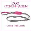 画像1: スマートで使いやすいリード【DOG COPENHAGEN】Urban Trail Leash ４色 (1)