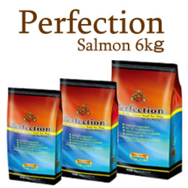 画像1: 安心のヘルシーバランスドッグフード【Perfection】SALMON-サーモン- 6kg (1)