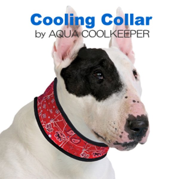 画像1:  暑い日のお散歩に清涼感【Cooling Collar】Sサイズ (1)