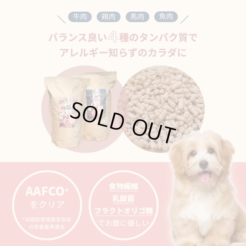 画像3: 国産素材・無添加で安心愛犬フード【PEGEATーペギートー】ライト2kg (3)
