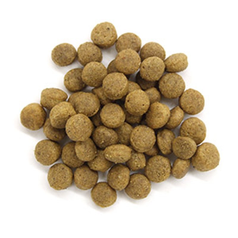 画像2: オーガニック認定取得のドライドッグフード【Argyle Dishes】Grevillea Adult アレルギー犬用8kg (2)