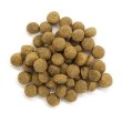 画像2: オーガニック認定取得のドライドッグフード【Argyle Dishes】Grevillea Adult アレルギー犬用2kg (2)