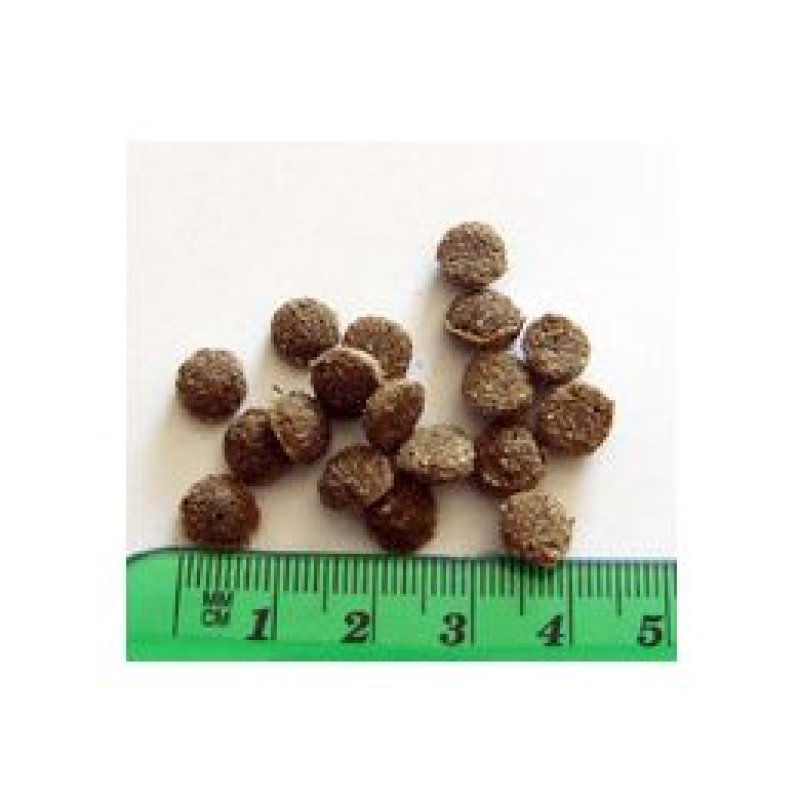 画像2: オーガニック認定取得の安心・安全のキャットフード【Argyle Dishes】Watle CAT 200g