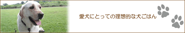 犬にとっての理想的なワンご飯