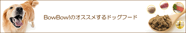 BowBowおススメのドッグフード