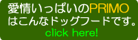 愛情いっぱいのPRIMO