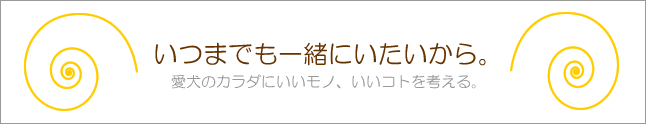 いつまでも一緒にいたいから。