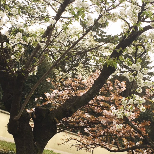 4月ははじまりの月！