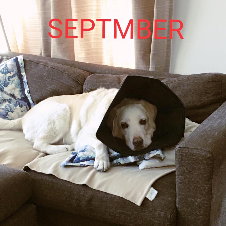 台風月9月。