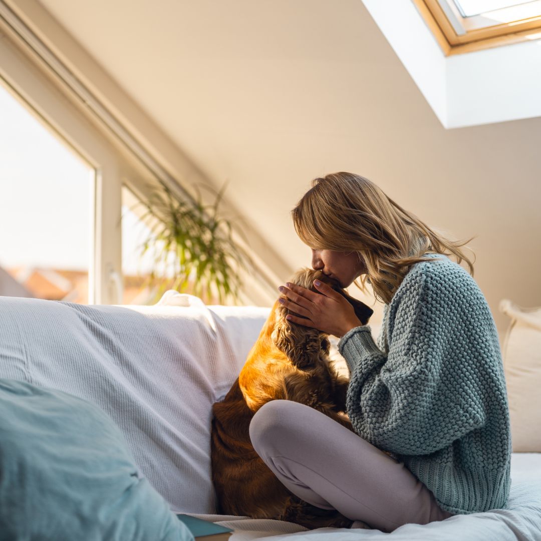 人と犬