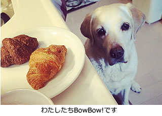 愛犬とスマイルライフBowBow!から皆さまへごあいさつ