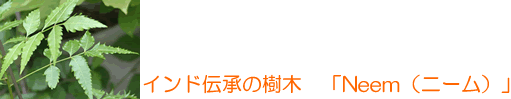 インド伝承のニームの樹