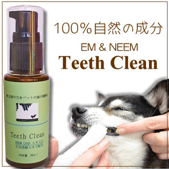 ペットの歯を口内から健康にする歯磨きが登場【EM & Neem Teeth Clean】50ml