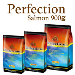 安心のヘルシーバランスドッグフード【Perfection】SALMON-サーモン- 900g