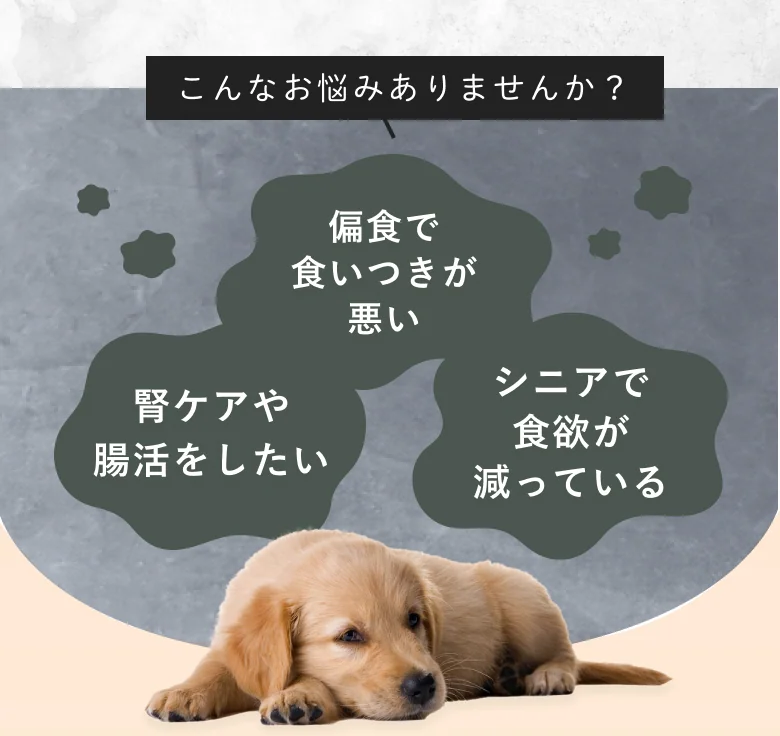 シルクフル愛犬のこんなお悩みに